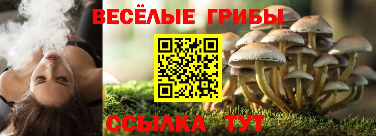 Псилоцибиновые грибы Cubensis  Галлюциногенные грибы мухоморы  Вход с VPN  Якутск 